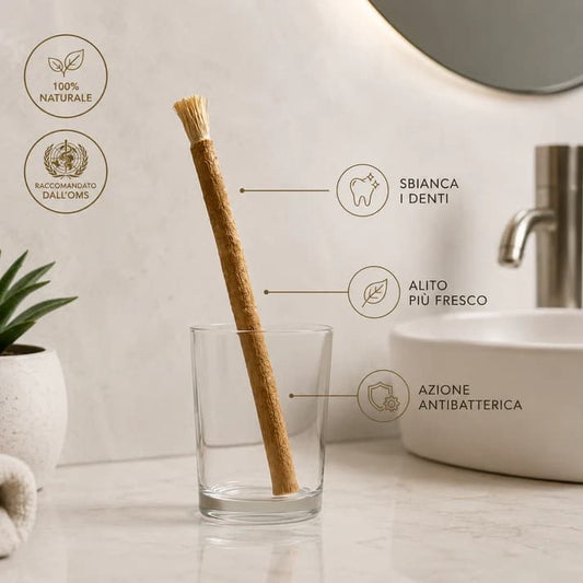 3 Stick di Miswak