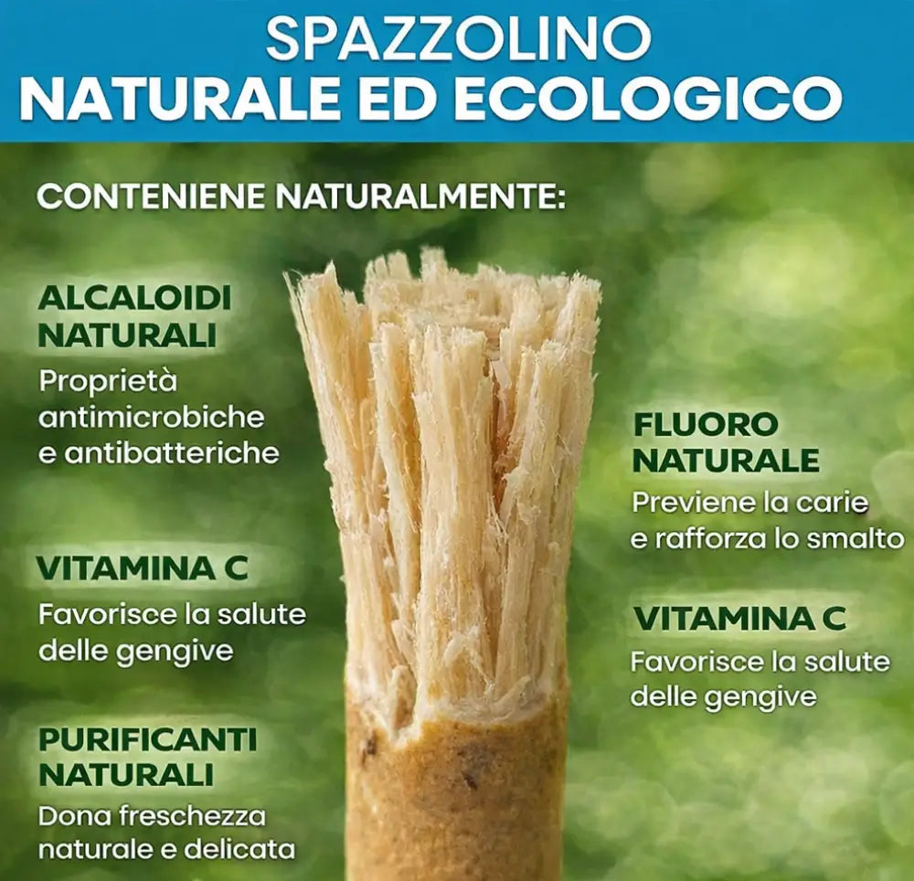 Miswak Spazzolino Naturale 100% Biologico Sbiancante Denti