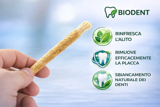 Miswak Spazzolino Naturale 100% Biologico Sbiancante Denti