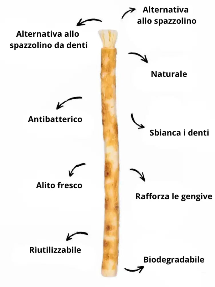 Miswak Spazzolino Naturale 100% Biologico Sbiancante Denti