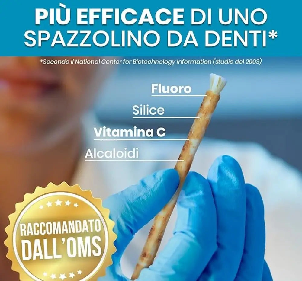 Miswak Spazzolino Naturale 100% Biologico Sbiancante Denti