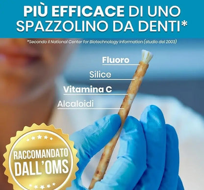 Miswak Spazzolino Naturale 100% Biologico Sbiancante Denti
