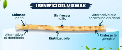 Miswak Spazzolino Naturale 100% Biologico Sbiancante Denti